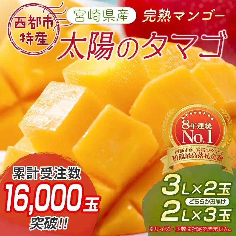 【先行予約】2027年発送　最高級ブランド『太陽のタマゴ』3Lサイズ2個or2Lサイズ3個【糖度15度以上】宮崎県西都市産完熟マンゴー＜18-10a＞