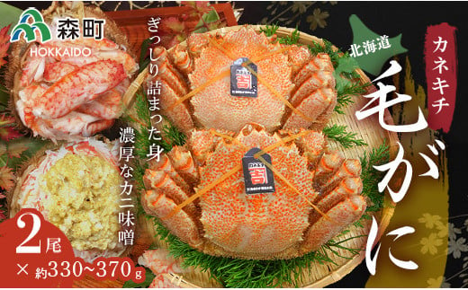 
北海道噴火湾産「カネキチ」浜ゆで毛がに2尾入（約330～370ｇ） かに カニ 蟹 ガニ がに 森町 ふるさと納税 北海道 毛蟹 毛かに 毛ガニ 毛カニ　 mr1-0152
