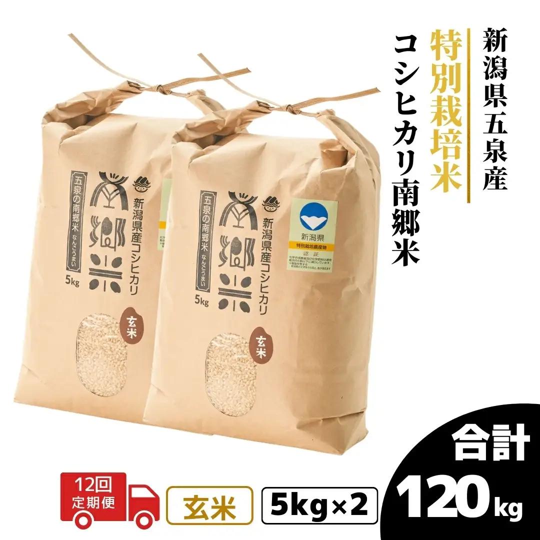 令和8年産米【12回定期便】特別栽培コシヒカリ 玄米 10kg（5kg×2袋） | コシヒカリ 玄米 米 新潟県産 五泉市 特別栽培米 新米