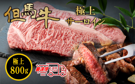 〈スピード出荷〉但馬牛サーロインステーキ 800g(200g×4枚) サーロイン MSK006
