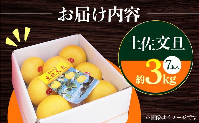 【先行予約】南国高知温室 土佐文旦 約3kg 7玉 文旦 ぶんたん フルーツ 果物 3キロ 高知県