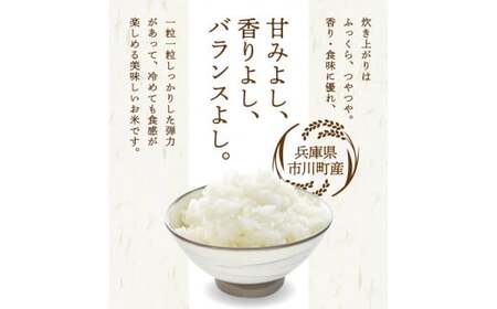 新米 令和７年産 市川町産 コシヒカリ（NICOMARU農場）精米5kg 　013NM01N./ コシヒカリ 精米 お米 ご飯 ごはん 市川町