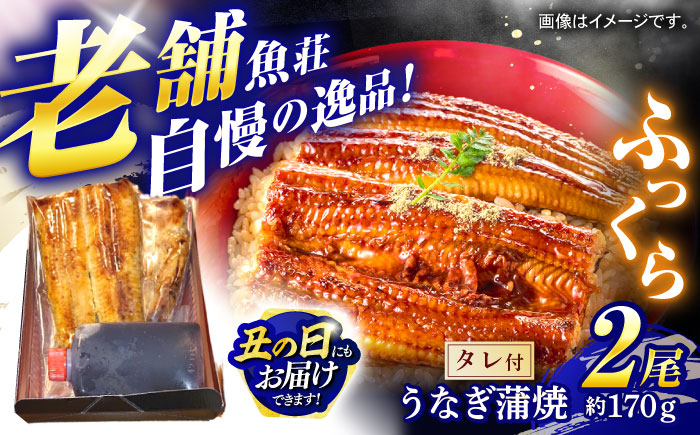 魚荘のうなぎ蒲焼き(2尾入り) / うなぎ ウナギ 鰻 蒲焼き 蒲焼 / 諫早市 / 有限会社魚荘 [AHCK002] 丑の日 土用丑の日