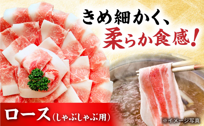 瀬戸豚 豚肉3種セット 計3.2kg / 肉 豚肉 豚バラ しゃぶしゃぶ 冷凍 小分け / 瀬戸市 / 関屋精肉店 [BBBQ223]
