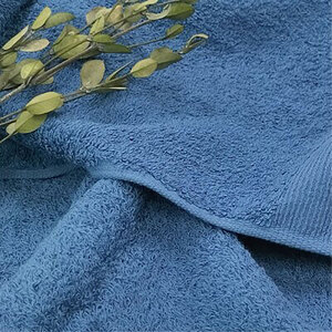 ＜バスタオル2枚組＞オーガニックコットンバスタオル(60×120cm) 彩りNB