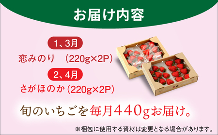 【先行予約】【全4回定期便】交互にお届け！恋みのり・さがほのか  220g×2パック×4回 / イチゴ 苺 フルーツ 果物 / 佐賀県 / 鐘ヶ江農園 [41ASBK002]