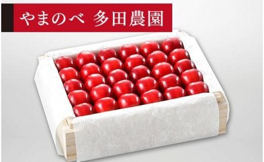 《2026年先行予約》【特選「真夏のルビー紅姫」】桐箱詰 約500g【やまのべ多田耕太郎のさくらんぼ 多田農園】期間限定 数量限定　7月中旬より発送 F4A-0040