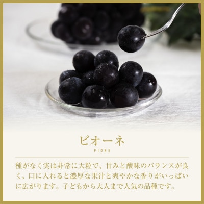 山梨県山梨市産　旬の採れたてピオーネ　約1kg　2～3房【配送不可地域：離島】