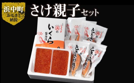 いくら醤油漬け(鮭卵)＆ときさけ輪切りの親子セット(約1kg)　いくら醤油漬け 鮭卵 ＆ ときさけ 輪切り の 親子 セット 約1kg グルメ 食品 海鮮 魚介類 海の幸 海産物 加工品 ご飯のお供 おかず 惣菜 魚卵 いくら 魚 鮭 国産 冷凍 浜中漁業協同組合 北海道 浜中町 お取り寄せ 送料無料_H0001-036