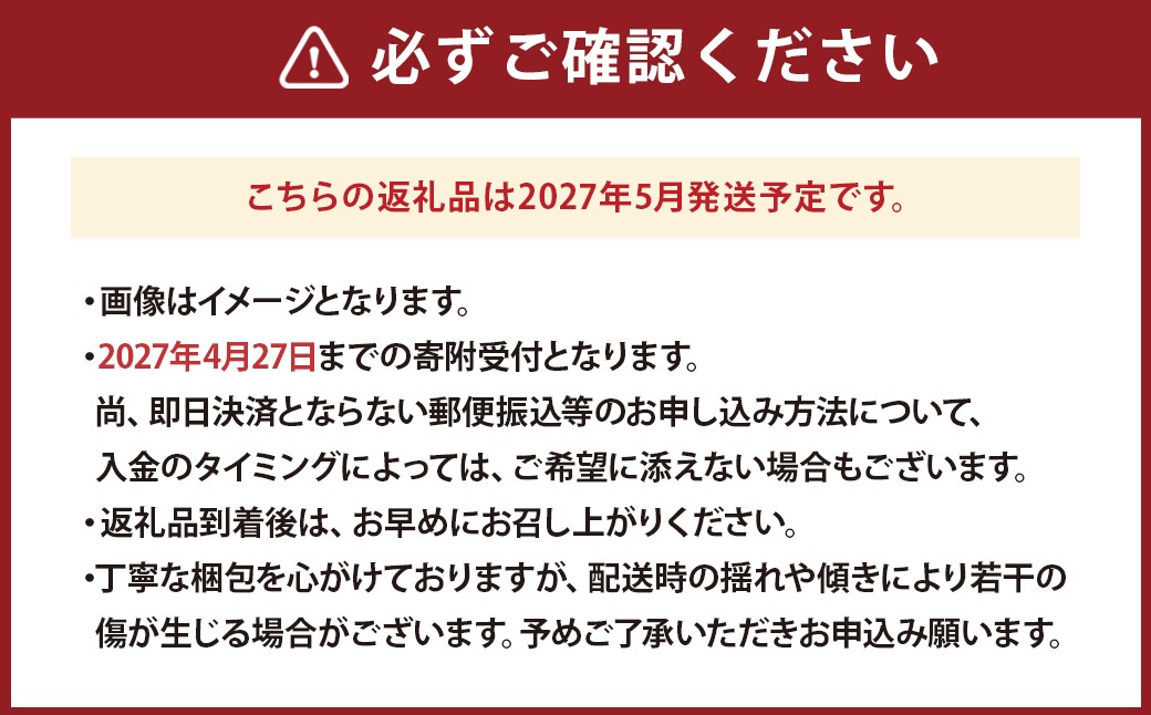 《母の日》 マスクメロン1玉とカーネーション1鉢
