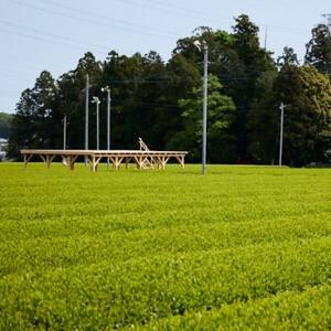 茶畑テラス茶の輪利用券【池乃屋園プラン2名分】【1474187】