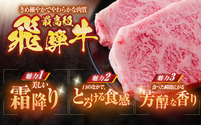 【12回定期便】 ※冷蔵配送/地域限定※ 飛騨牛 サーロインステーキ 240g×2枚 瑞浪市 / きなぁた瑞浪 和牛 国産 岐阜県産 [AZCI094]