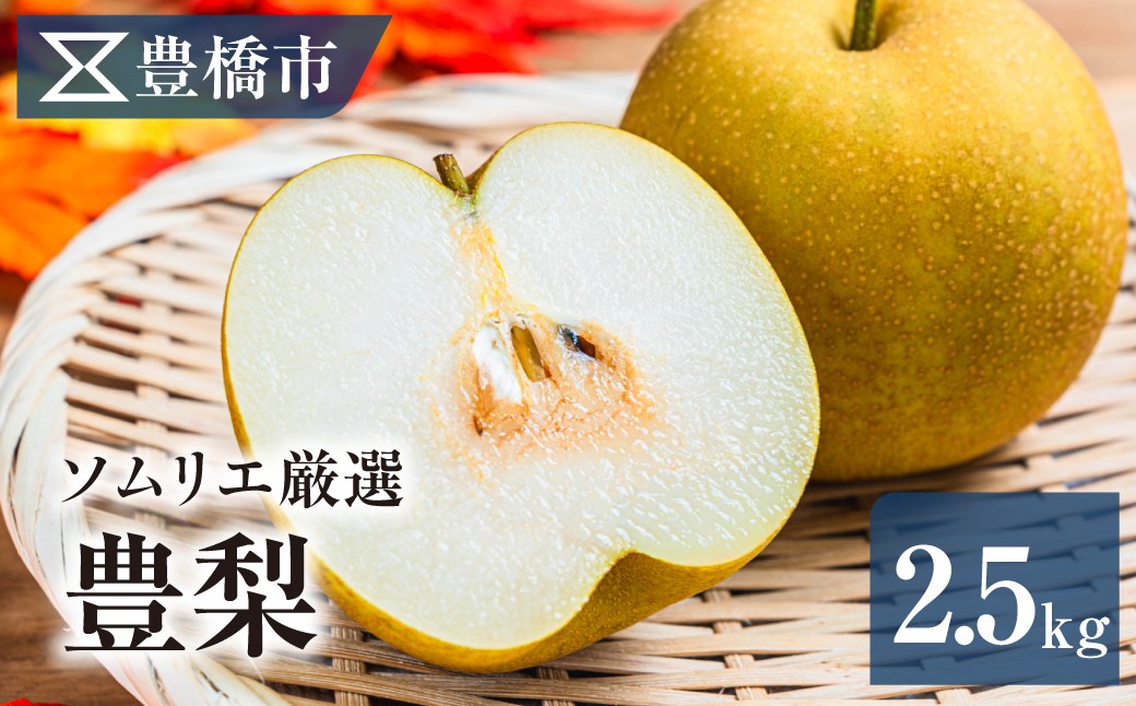 
                  豊橋市産 梨 2.5kg（5～8玉・品種おまかせ） 産地直送 旬の品種 幸水 豊水 秋月 新高 くだもの 果物 フルーツ なし デザート 愛知県 豊橋市
                