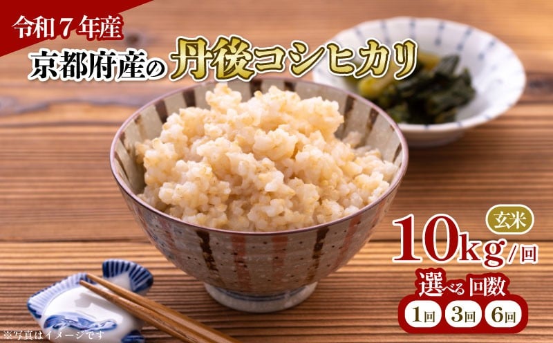 
            【令和7年産 新米】選べる 定期便 回数 京都府産 丹後コシヒカリ 玄米 10kg 1回 3回 6回 お米 10キロ 米 こめ 国産 ブランド米 取り寄せ 京都 ごはん コシヒカリ こしひかり 3か月 3ヶ月 6か月 6ヶ月 2025年度 JA JA京都 京都府産 京都府
          