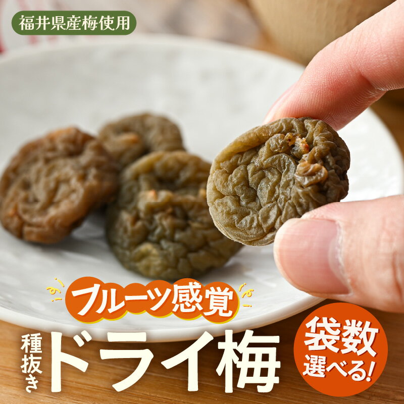 【ふるさと納税】フルーツ感覚！福井県産 梅のおやつ 種ぬきドライ梅 【選べる内容量：210g/350g】【食べやすい ドライフルーツ 種なし 国産梅 干し梅 おやつ 梅干し ギフト 母の日 父の日 敬老の日】