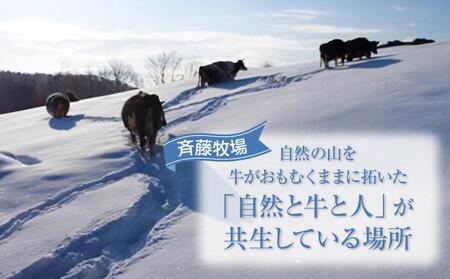 【12ヶ月定期便】斉藤牧場の山地自然放牧牛乳（900ml×2本×12回）