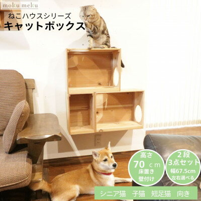 【ふるさと納税】床置きタワー・壁付けキャットウォークで使えるキャットボックス　2段3点セット(左上がり)【1563384】
