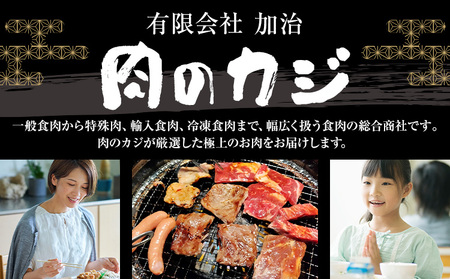 常陸牛黒毛和牛サーロインステーキ600g有限会社加治 肉のカジ《30日以内に出荷予定(土日祝除く) 》国産牛茨城県産【配送不可地域あり】（沖縄・離島）【茨城県共通返礼品】