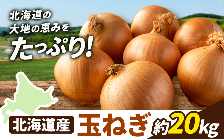 野菜 玉ねぎ 20kg B&T TRADING株式会社《30日以内に出荷予定(土日祝除く)》北海道 日高町 玉ねぎ  北海道産 国産 野菜 大容量 家庭用 常備野菜 サラダ カレー スープ 煮物 炒め