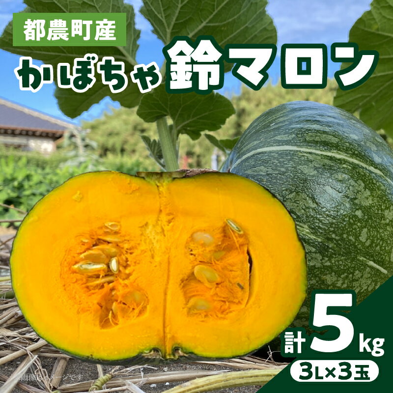 【ふるさと納税】 先行予約 期間限定 都農町産 かぼちゃ 鈴マロン 計5kg カボチャ 南瓜 完熟 野菜 緑黄色野菜 旬 サラダ プリン スープ コロッケ スイーツ デザート 煮物 天ぷら 国産 人気 食品 おすすめ 栄養豊富 健康的 ヘルシー 温野菜 パンプキン 宮崎県 送料無料