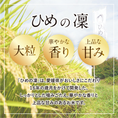 【先行予約】令和7年産米「ひめの凜」10kg　プレミアムクオリティ(美味しさ基準)【VB01580】