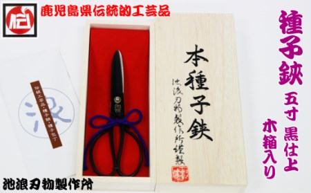 種子島 伝統工芸 種子 鋏 (たねばさみ) ５寸 黒仕上 木箱入　NFN160【875pt】