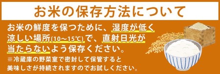 国産 鹿児島県産 ひおきのおこめ 無洗米 5kg No.598 正留産業