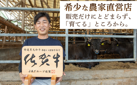 【全12回定期便】佐賀牛 ヒレ サイコロステーキ 500g(250g×2パック)【山下牛舎】佐賀牛 牛肉 黒毛和牛 佐賀牛 牛肉 佐賀牛 牛肉 フィレ 佐賀牛 牛肉 ヒレ肉 佐賀牛 牛肉 ヒレステーキ