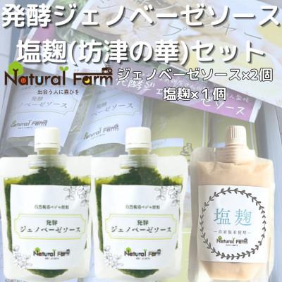 ふるさと納税 枕崎市 発酵ジェノベーゼソース&amp;塩麹A5-11
