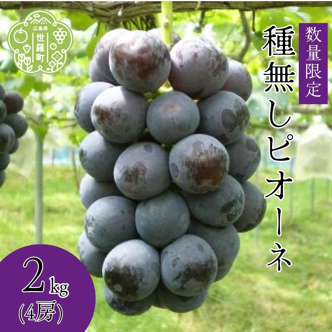 【ふるさと納税】種無しピオーネ2kg(4房)【2025年9月上旬以降順次発送】安井農園 ぶどう ブドウ 葡萄 ピオーネ フルーツ 果物 くだもの 産地直送 世羅 A009-01