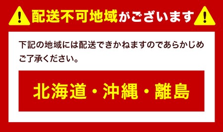 岡山県産 つる付きニューピオーネ 3房 580g以上 ハウス栽培 葡萄 果物 厳選出荷 スイーツ フルーツ デザート 岡山県矢掛町《7月上旬-8月下旬頃に出荷予定(土日祝除く)》 種なしぶどう 【配送