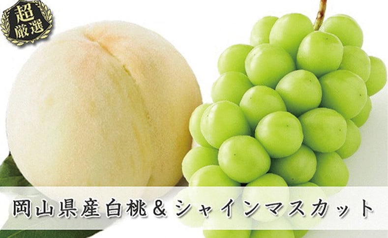 
            岡山県産白桃 ロイヤル＆シャインマスカット 約2kgセット【６月中旬～８月上旬発送予定 白桃 糖度最上級 もも フルーツ モモ ロイヤル シャインマスカット ぶどう 大人気セット 岡山県産 くだもの王国岡山 】
          