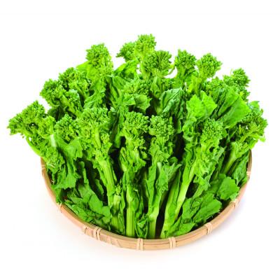 ふるさと納税 まんのう町 菜の花(パック入り)約1.2kg