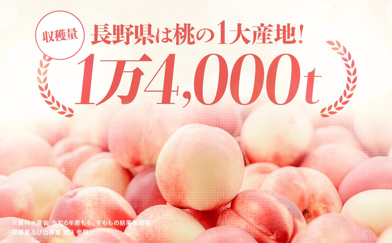 アルプス 信州産 ももストレート缶ジュース 160g×16本 | 桃  白桃 もも 桃ジュース ジュース ピーチジュース セット アルプス ストレート ストレートジュース 160g 果汁飲料 長野県産