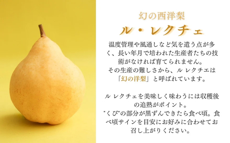 【2025年先行予約】新潟特産 幻の洋梨ル・レクチェ 家庭用 約4kg（8?12玉） 《11月下旬以降順次発送》 令和5年新潟県ル・レクチェ果実品評会「県知事賞」 果物 フルーツ 冬の味覚 産地直送 