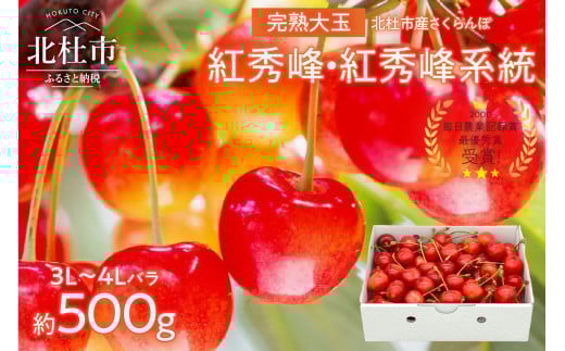 完熟大玉・さくらんぼ（3L～4Lバラ 約500g）【2025年先行予約】  さくらんぼ 3L～4L 完熟大玉バラ 約500g 【期間限定】 毎日農業記録賞 全国最優秀賞 受賞 紅秀峰 紅秀峰系統 大玉 チェリー 甘い 農家直送 果物 フルーツ やまなしＧＡＰ認証 ※2025年6月中旬以降順次発送 数量限定 山梨 北杜市 岩原果樹園