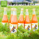 【ふるさと納税】酵素栽培人参ジュース720ml×2本