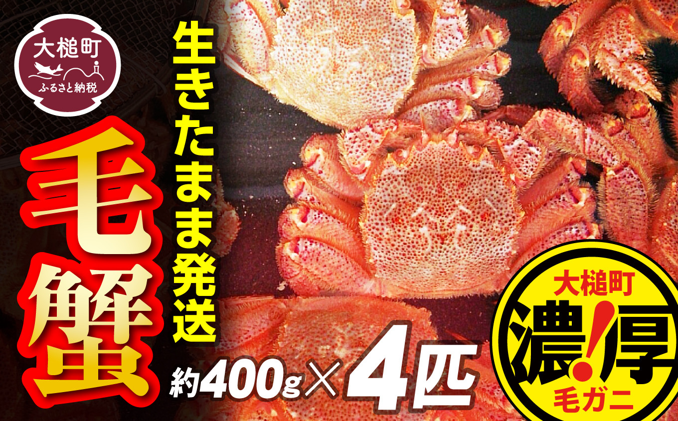 
            【令和8年発送先行予約】三陸産！活毛ガニセット 400g×4杯【08】【2026年2月～4月発送】
          