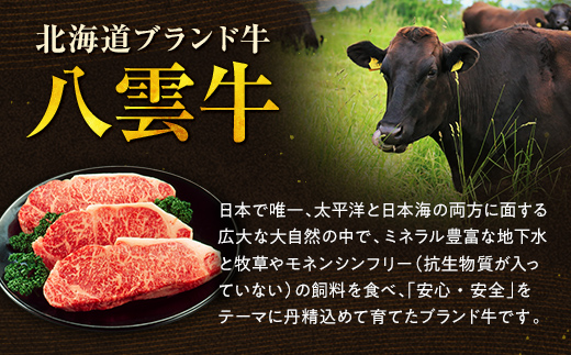 【地元新聞で紹介！】肉屋のハンバーグ(ハヤシ風)　140g×6個【 はんばーぐ 牛肉 国産 肉 にく ニク 冷凍 簡単 お手軽 小分け 北海道 冷凍 冷凍食品 お弁当 弁当 おかず 弁当のおかず 調理