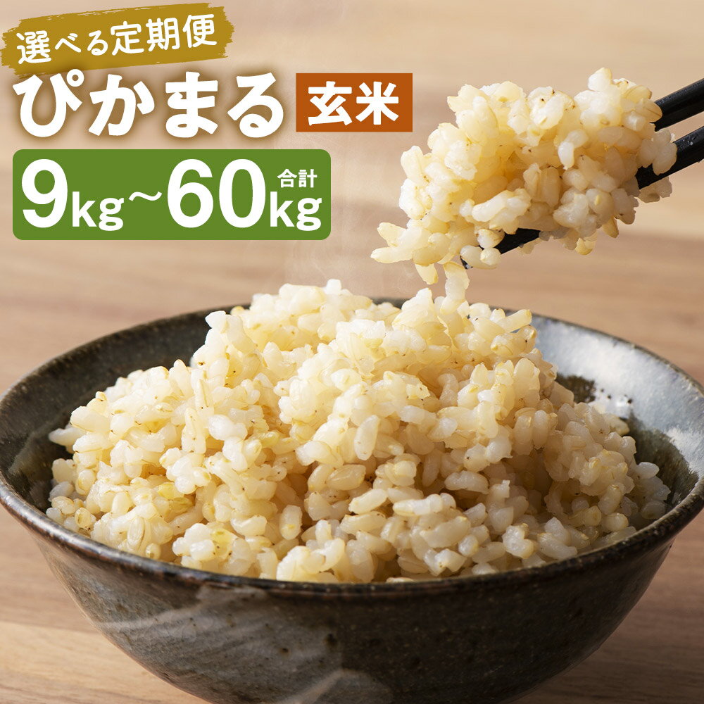 【ふるさと納税】【選べる定期便】【新米先行予約】低アミロース米 ぴかまる 玄米 3kg/5kg 3ヶ月定期便/6ヶ月定期便/12ヶ月定期便 選べる内容量 保存袋付き お米 栽培期間中無農薬 九州産 福岡県産 送料無料【2025年11月上旬より順次発送予定】