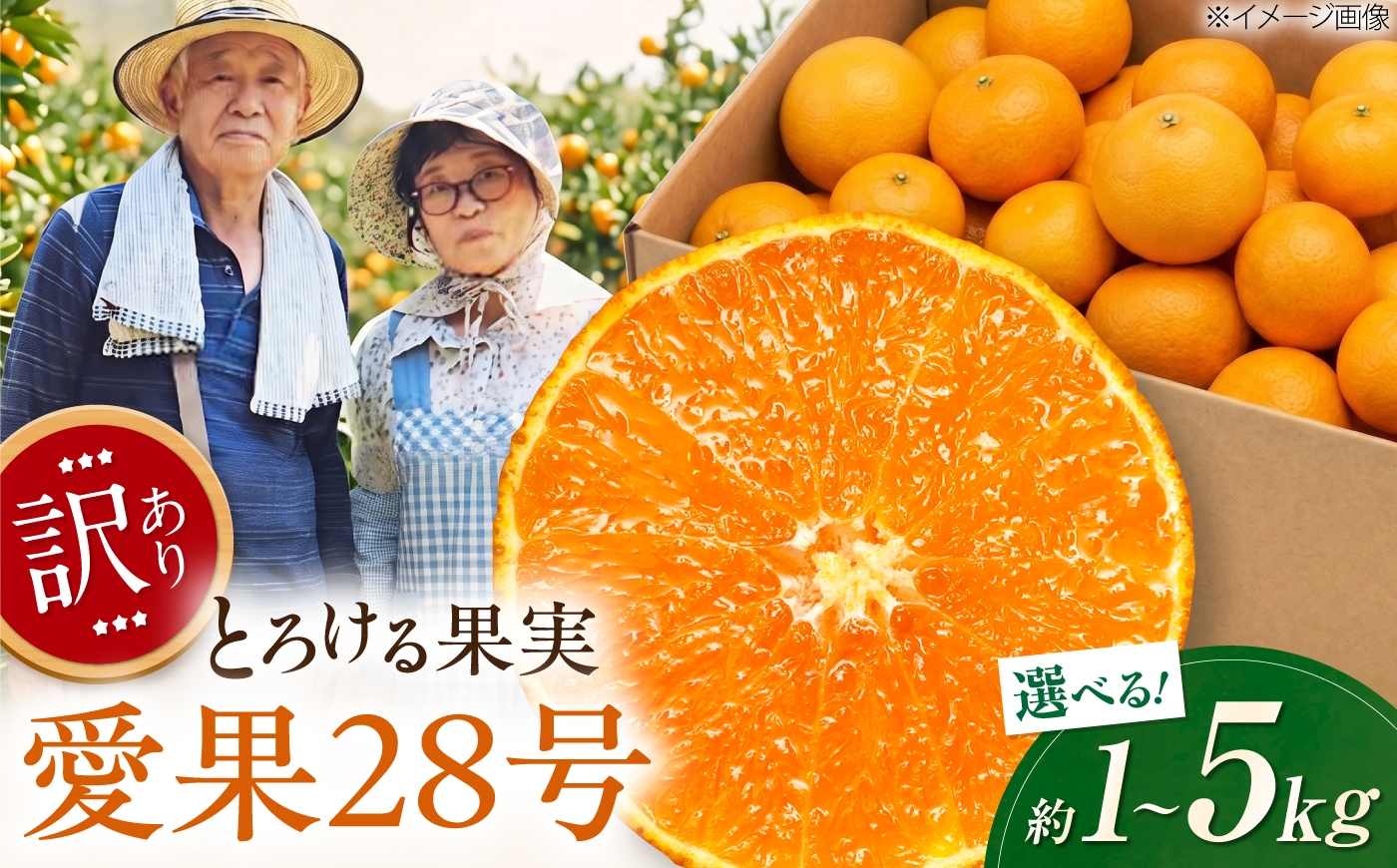 
                  【選べる容量】みかん 訳あり 愛果28号 約1～5kg【12月上旬から2月下旬まで順次発送】 / フルーツ 果物 蜜柑 ミカン オレンジ 訳あり 訳アリ 小玉 甘い 先行予約 約 5kg 愛媛 愛果28号 プルプル 薄皮 果汁たっぷり 高級柑橘 濃厚 甘み 酸味少ない 愛媛産 旬 お取り寄せ 贈答 フルーツギフト 人気 おすすめ / 愛媛県砥部町/西岡さん家のみかん園 [BJBG002]
                
