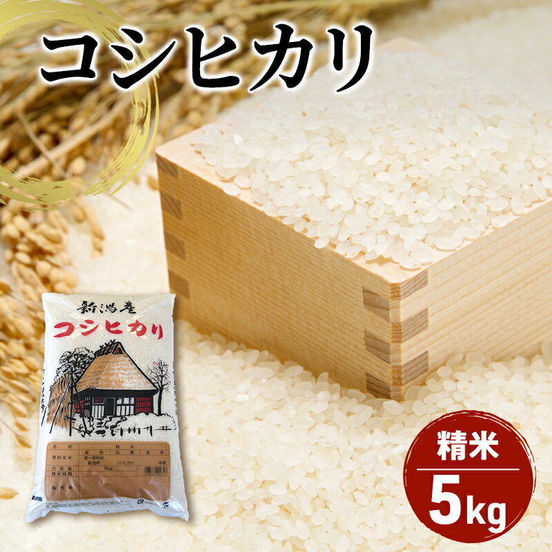 【ふるさと納税】【令和7年産】新潟産 コシヒカリ精米5kg「従来品種」 お米 ご飯 食卓 主食 おにぎり お弁当 国産 日本産 ブランド米 　お届け：2025年10月下旬～2026年2月末まで