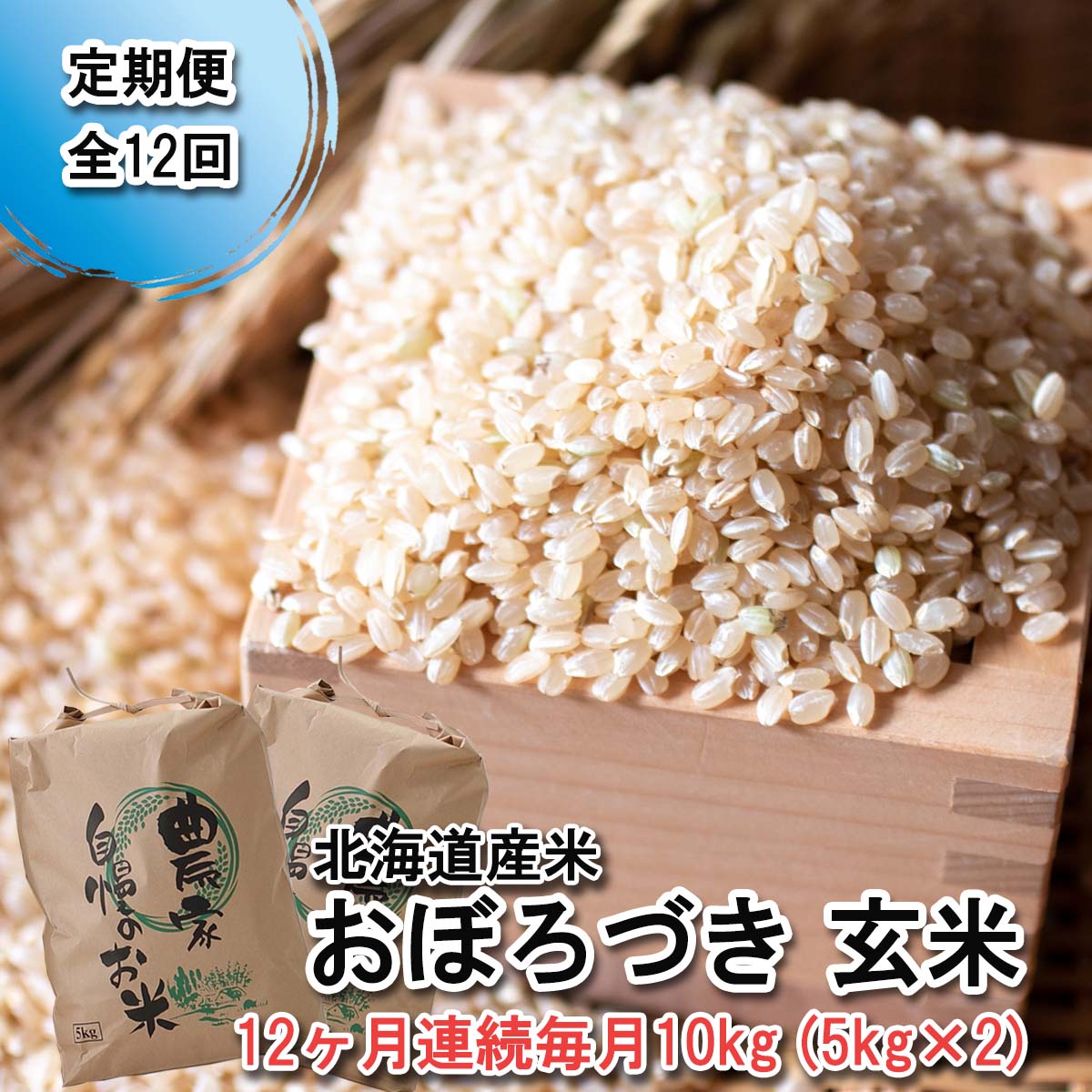 【ふるさと納税】 ＜ 定期便 ＞ 北海道産 おぼろづき 10kg ( 5kg × 2 ) 毎月 12回 希少米 米 玄米 お米 北海道米 お弁当 おにぎり 常温 北海道 新ひだか町