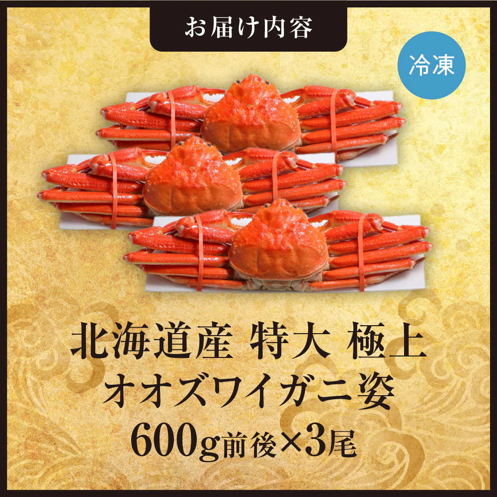北海道産特大極上オオズワイガニ姿 600g前後×3尾セット