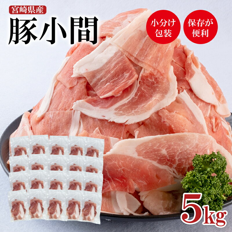 【ふるさと納税】宮崎県産 豚肉【 5kg】こま切れセット＜2-21＞ ふるさと納税 豚肉 細切れ 国産 食べ比べ 小分け パックMF