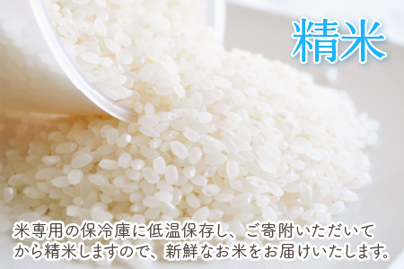 【6ヶ月連続お届け】福井県坂井市丸岡町産 コシヒカリ（精米）5kg×6回　計30kg [D-11301_03]