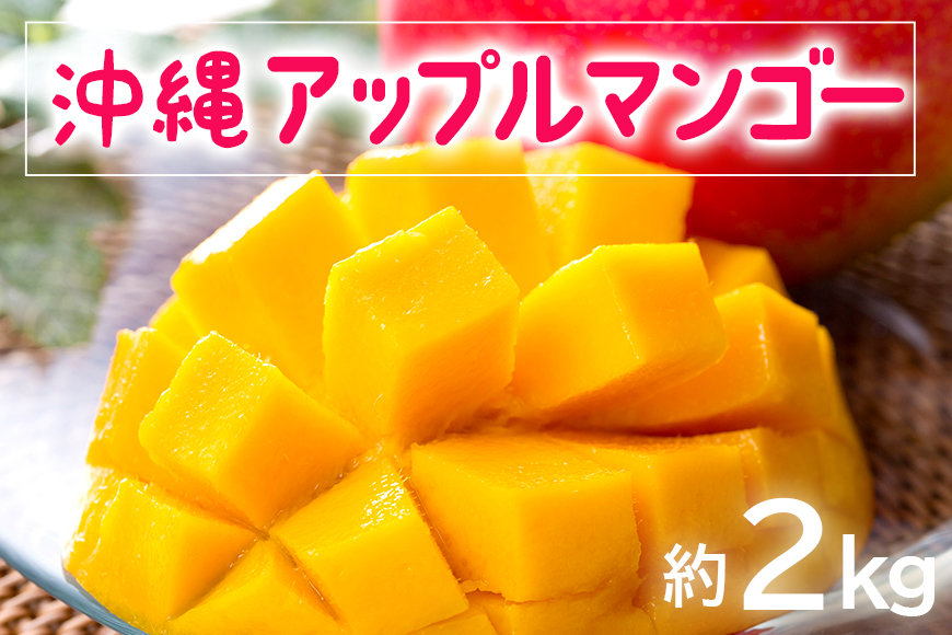 【2025年発送】お手頃「沖縄アップルマンゴー」2kg