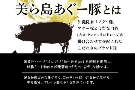 【16個】美ら島あぐーハンバーグ4個入り×4パック 10000円