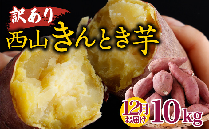 
            【令和７年１２月お届け】西山きんとき芋 10kg | 訳あり 新芋 さつまいも サツマイモ さつま芋 焼き芋 やきいも ヤキイモ 人気 野菜 不揃い 規格外 おやつ デザート秋 旬 生芋 ご家庭用 10000円 高知県 室戸市

          