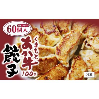 ふるさと納税 荒尾市 熊本県産 くまもとあか牛100%餃子60個(20個入り×3)(荒尾市)